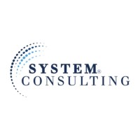 System Consulting